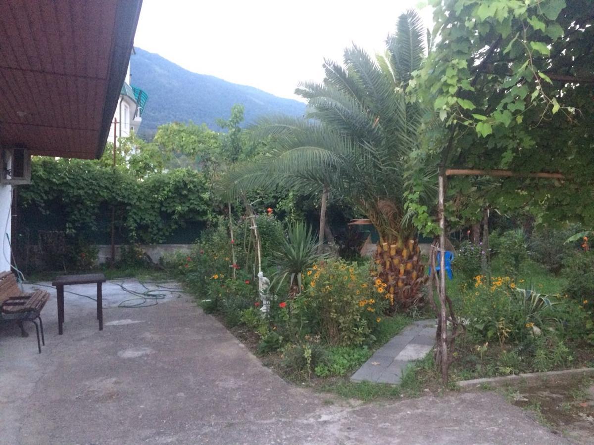 Guesthouse Mira Gagra Exterior foto